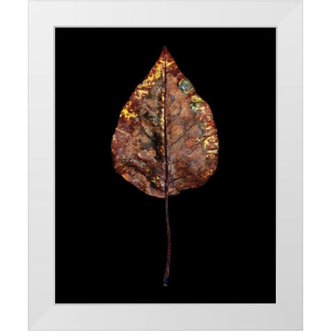 Rustic Leaf 4 White Modern Wood Framed Art Print by Bookbinder, David
