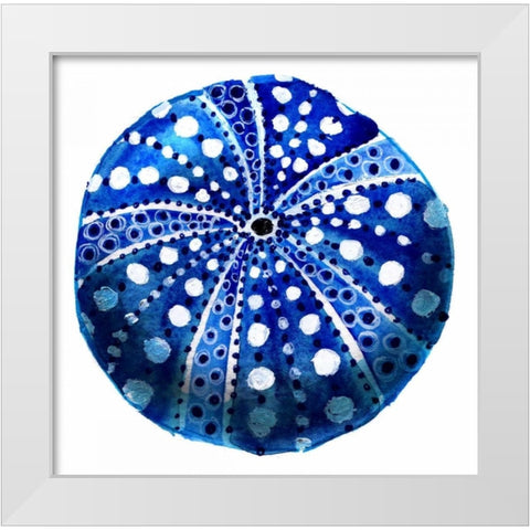 Tidal Pool Urchin White Modern Wood Framed Art Print by Smith, Crystal