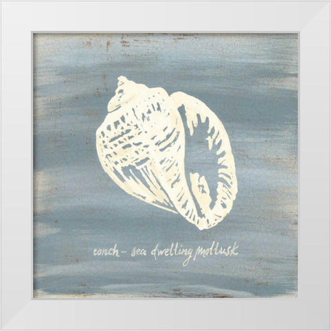 Imperial Conch White Modern Wood Framed Art Print by Z Studio