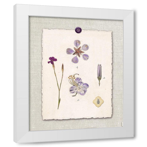 Paris Flea Market Petals White Modern Wood Framed Art Print by Ross, Devon