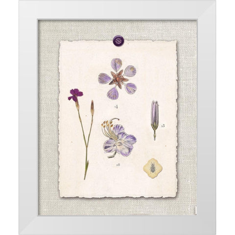 Paris Flea Market Petals White Modern Wood Framed Art Print by Ross, Devon
