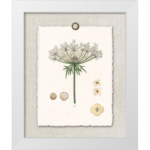 Paris FL Mrkt Queen Annes Lace White Modern Wood Framed Art Print by Ross, Devon