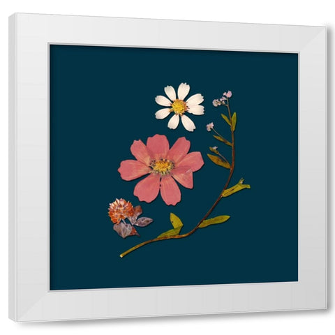 Garden Keepsake 2 White Modern Wood Framed Art Print by Ross, Devon