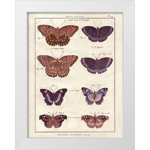 Histoire Naturelle 1 White Modern Wood Framed Art Print by Wesley, Terrence