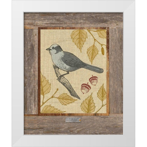 Gray Jay White Modern Wood Framed Art Print by Appleman, Sam