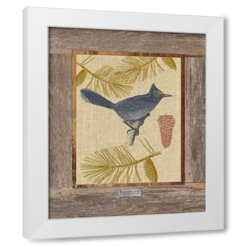 Steller Jay White Modern Wood Framed Art Print by Appleman, Sam