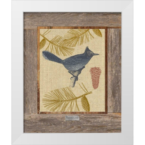 Steller Jay White Modern Wood Framed Art Print by Appleman, Sam