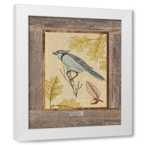 Blue Jay White Modern Wood Framed Art Print by Appleman, Sam