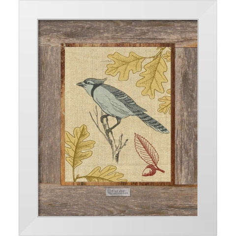 Blue Jay White Modern Wood Framed Art Print by Appleman, Sam