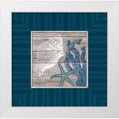 Coastal Treasures White Modern Wood Framed Art Print by Appleman, Sam