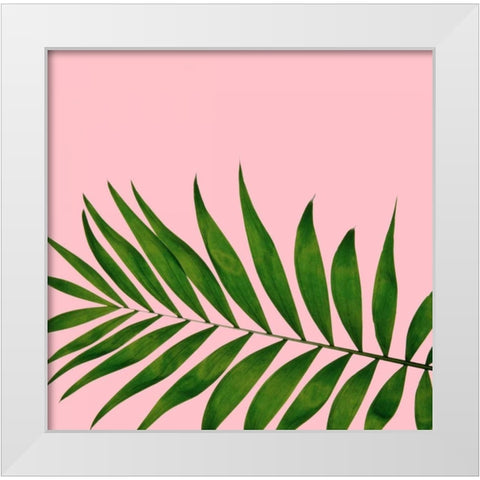 Miami Vibe 3 White Modern Wood Framed Art Print by Duprais, Cameron