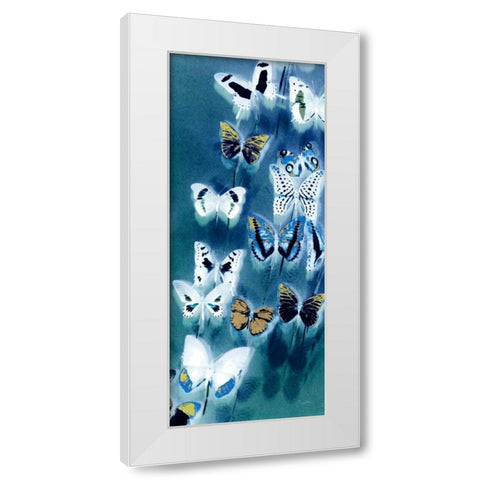 Morccan Blue Butterflies 1 White Modern Wood Framed Art Print by Taylor, Evangeline