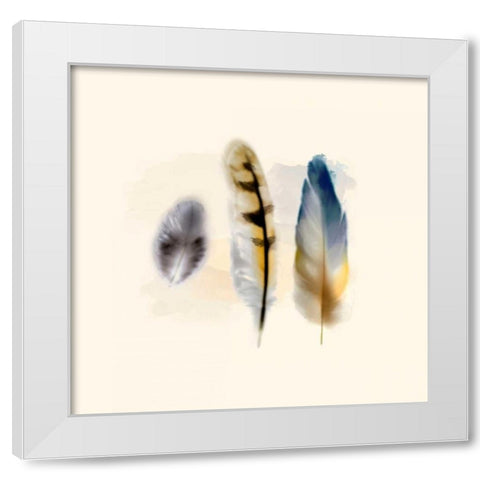 Three Feather Study 2 White Modern Wood Framed Art Print by Taylor, Evangeline