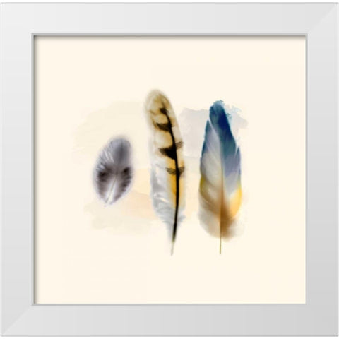Three Feather Study 2 White Modern Wood Framed Art Print by Taylor, Evangeline