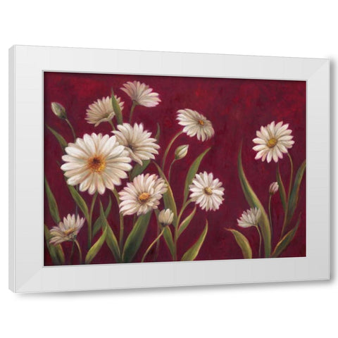 Harmony Daisies  White Modern Wood Framed Art Print by Art Atelier Alliance