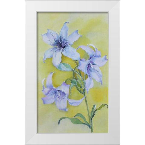 Floral  White Modern Wood Framed Art Print by Mayskaya, Alisa