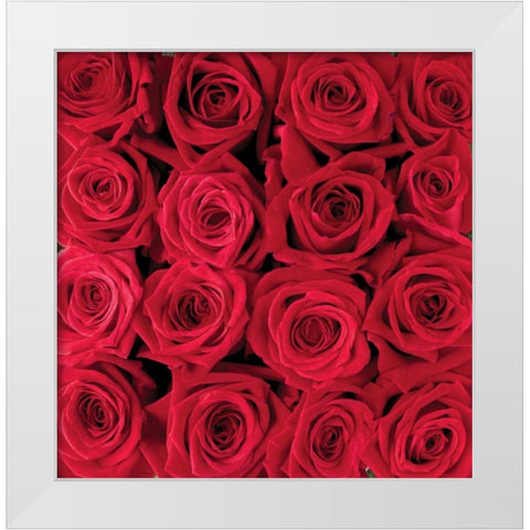 Red rose creation White Modern Wood Framed Art Print by met Bloemen, Creatief