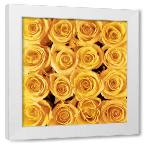Yellow rose creation White Modern Wood Framed Art Print by met Bloemen, Creatief