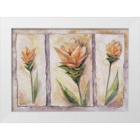 Curuma cycas White Modern Wood Framed Art Print by Withaar, Rian