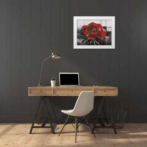 Blooming red Rose White Modern Wood Framed Art Print by Withaar, Rian