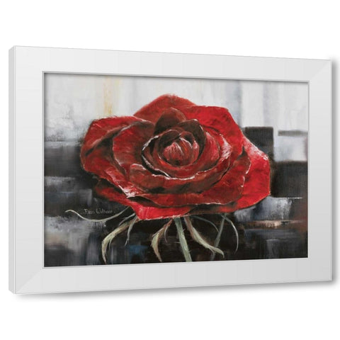 Blooming red Rose White Modern Wood Framed Art Print by Withaar, Rian