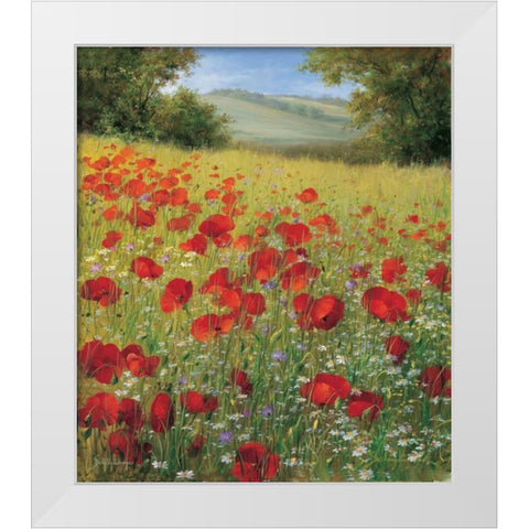 Sparkling field II White Modern Wood Framed Art Print by Scholnhammer, Heinz
