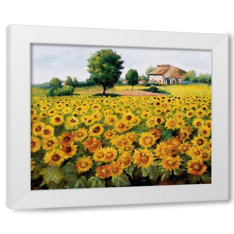 Field with sunflowers White Modern Wood Framed Art Print by Bosman, Johan