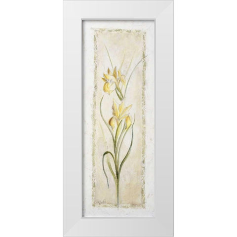 Garden delight-iris White Modern Wood Framed Art Print by Bonet, Julia