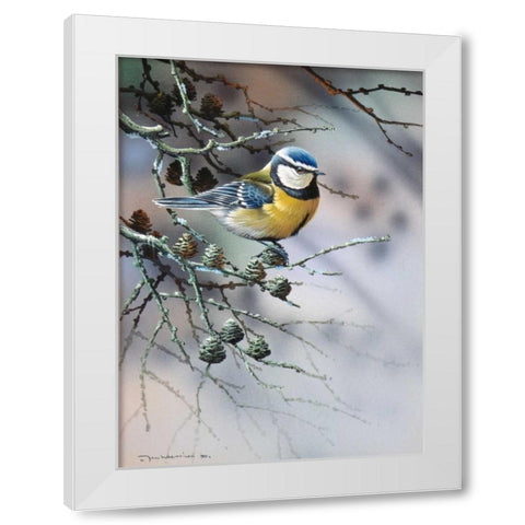Bird in fir-tree White Modern Wood Framed Art Print by Weenink, Jan