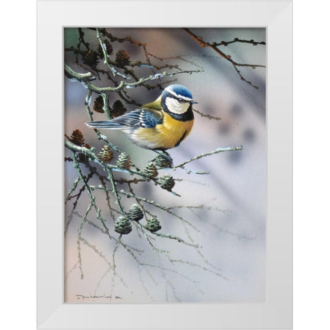 Bird in fir-tree White Modern Wood Framed Art Print by Weenink, Jan
