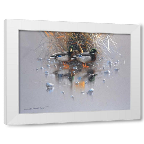 Three ducks White Modern Wood Framed Art Print by Weenink, Jan