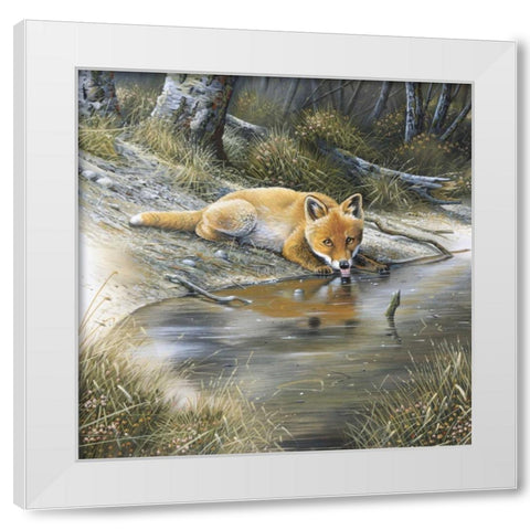Fox drinking water White Modern Wood Framed Art Print by Weenink, Jan
