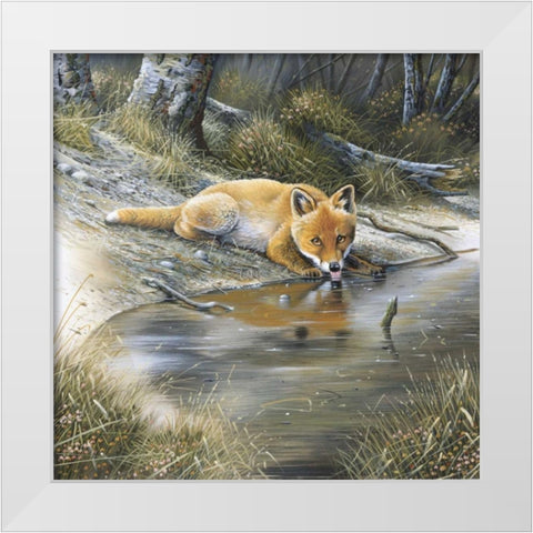 Fox drinking water White Modern Wood Framed Art Print by Weenink, Jan