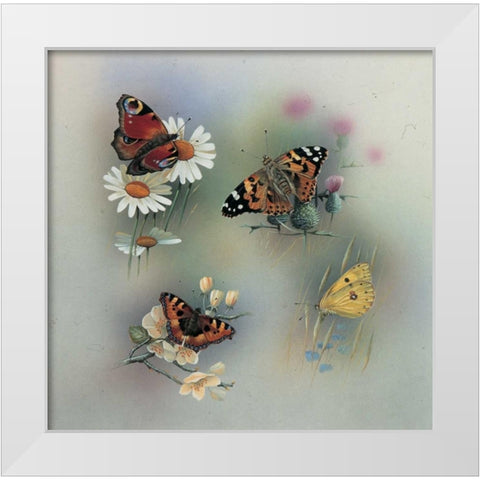 Butterfly composition White Modern Wood Framed Art Print by Weenink, Jan
