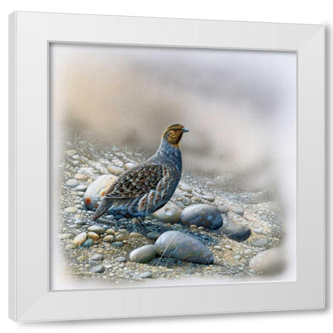 Bird between stones White Modern Wood Framed Art Print by Weenink, Jan