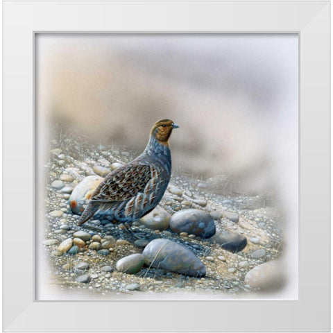 Bird between stones White Modern Wood Framed Art Print by Weenink, Jan