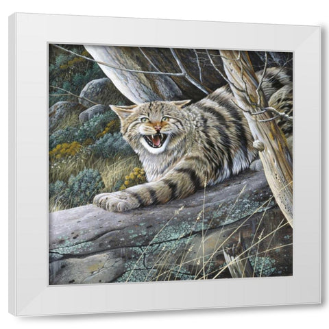 Lynx White Modern Wood Framed Art Print by Weenink, Jan