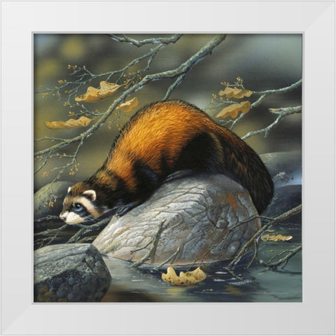 Beaver on a rock White Modern Wood Framed Art Print by Weenink, Jan