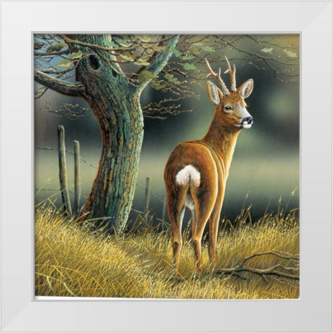 Reindeer White Modern Wood Framed Art Print by Weenink, Jan