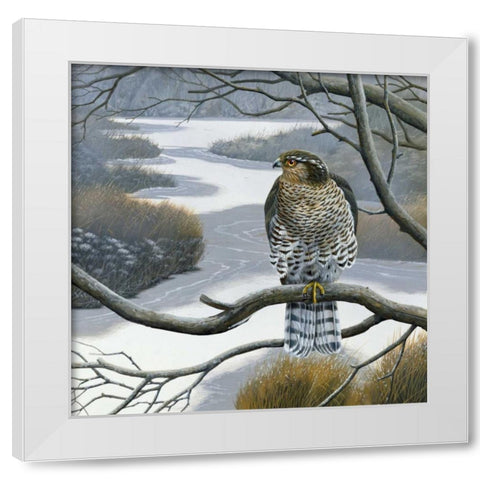 Hawk in tree White Modern Wood Framed Art Print by Weenink, Jan
