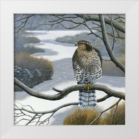 Hawk in tree White Modern Wood Framed Art Print by Weenink, Jan