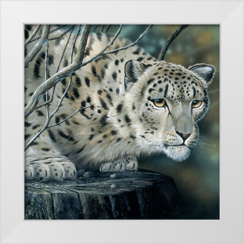 White tiger White Modern Wood Framed Art Print by Weenink, Jan