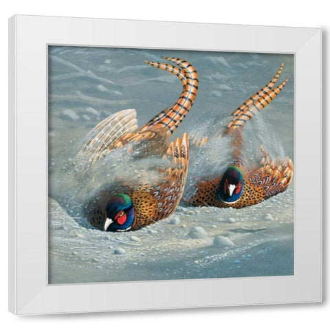 Gold pheasant White Modern Wood Framed Art Print by Weenink, Jan