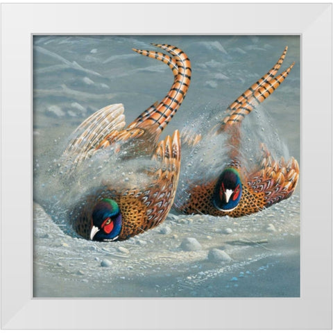 Gold pheasant White Modern Wood Framed Art Print by Weenink, Jan