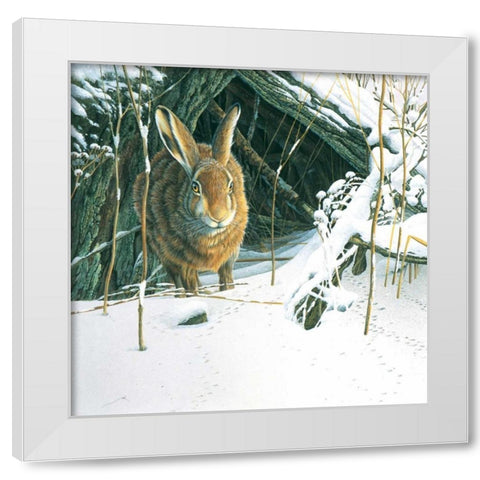 Rabbit  White Modern Wood Framed Art Print by Weenink, Jan