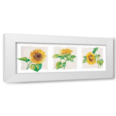 Sunflower triptych White Modern Wood Framed Art Print by Kumorek, Krysztov