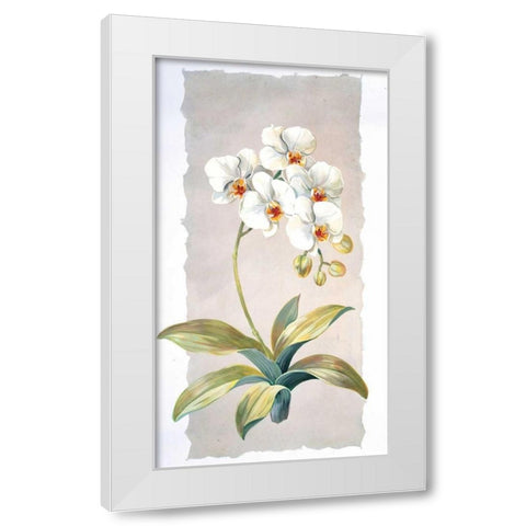 Orchid White Modern Wood Framed Art Print by Kumorek, Krysztov