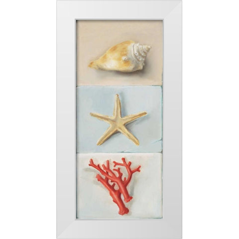 Shell selection II White Modern Wood Framed Art Print by du Ciel, Milieu