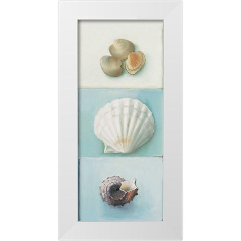 Shell selection III White Modern Wood Framed Art Print by du Ciel, Milieu