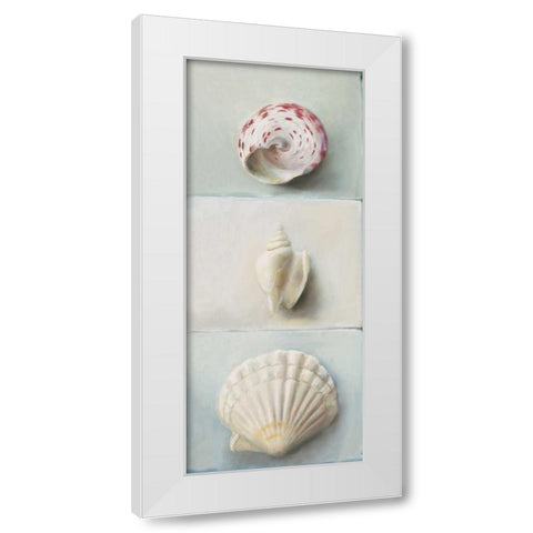 Shell selection IV White Modern Wood Framed Art Print by du Ciel, Milieu